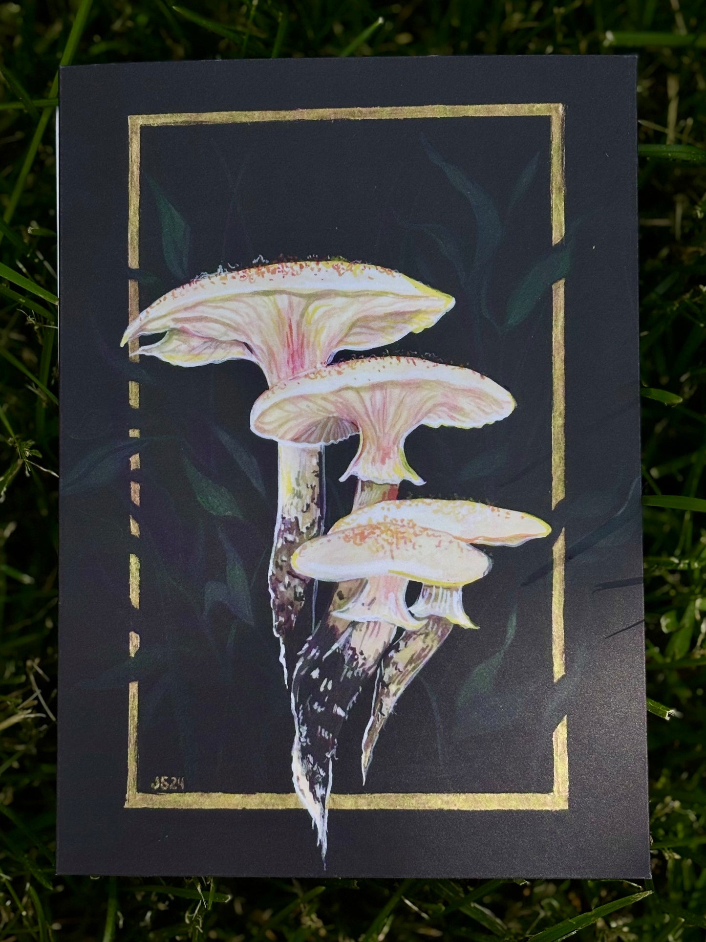Mushroom Card