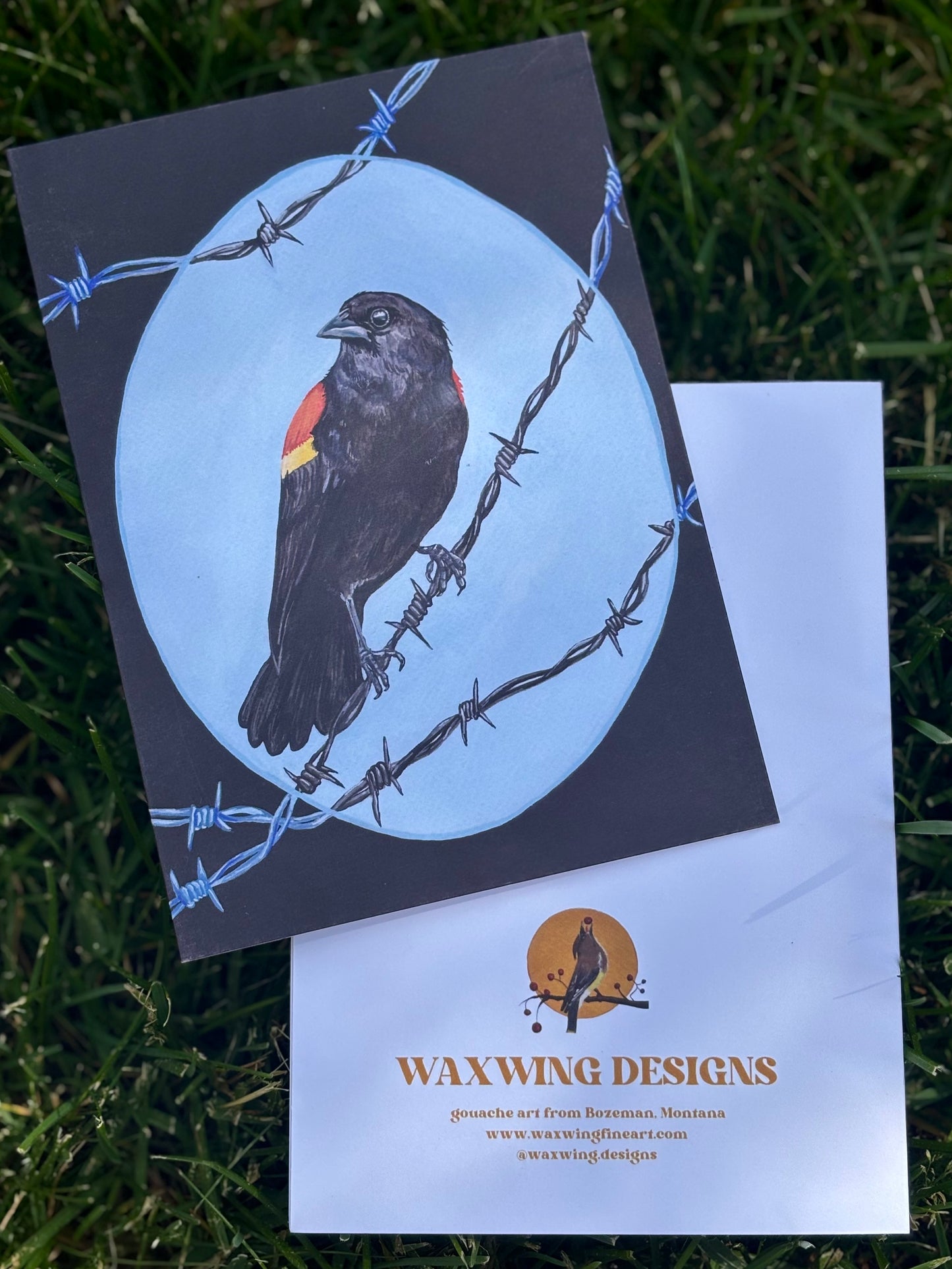 Red-Winged Blackbird Card