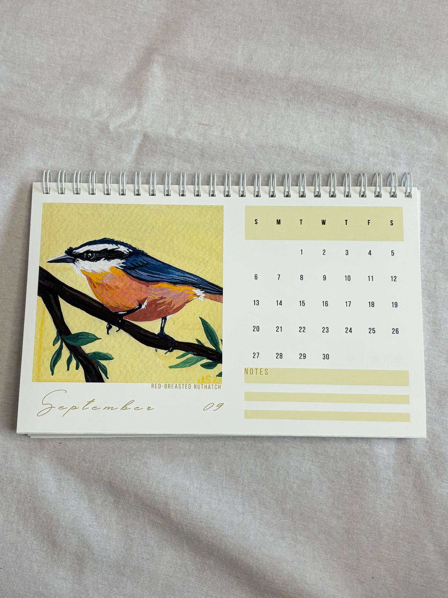 2026 Desk Calendar - Backyard Birds