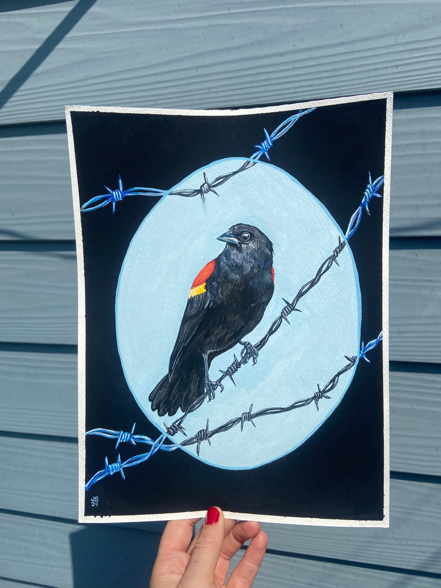 Red-winged blackbird | Original Painting