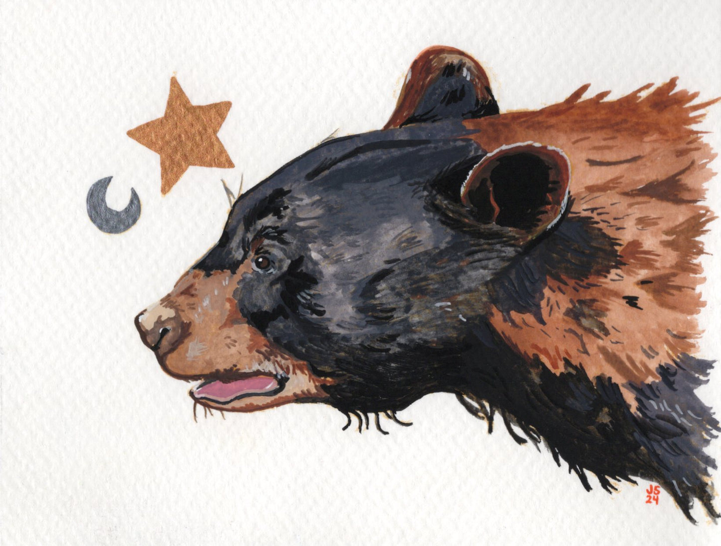 Star bear prints