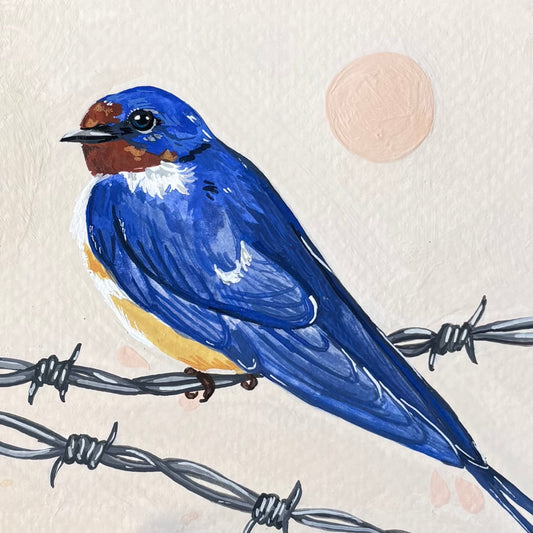Barn Swallow | Original Painting