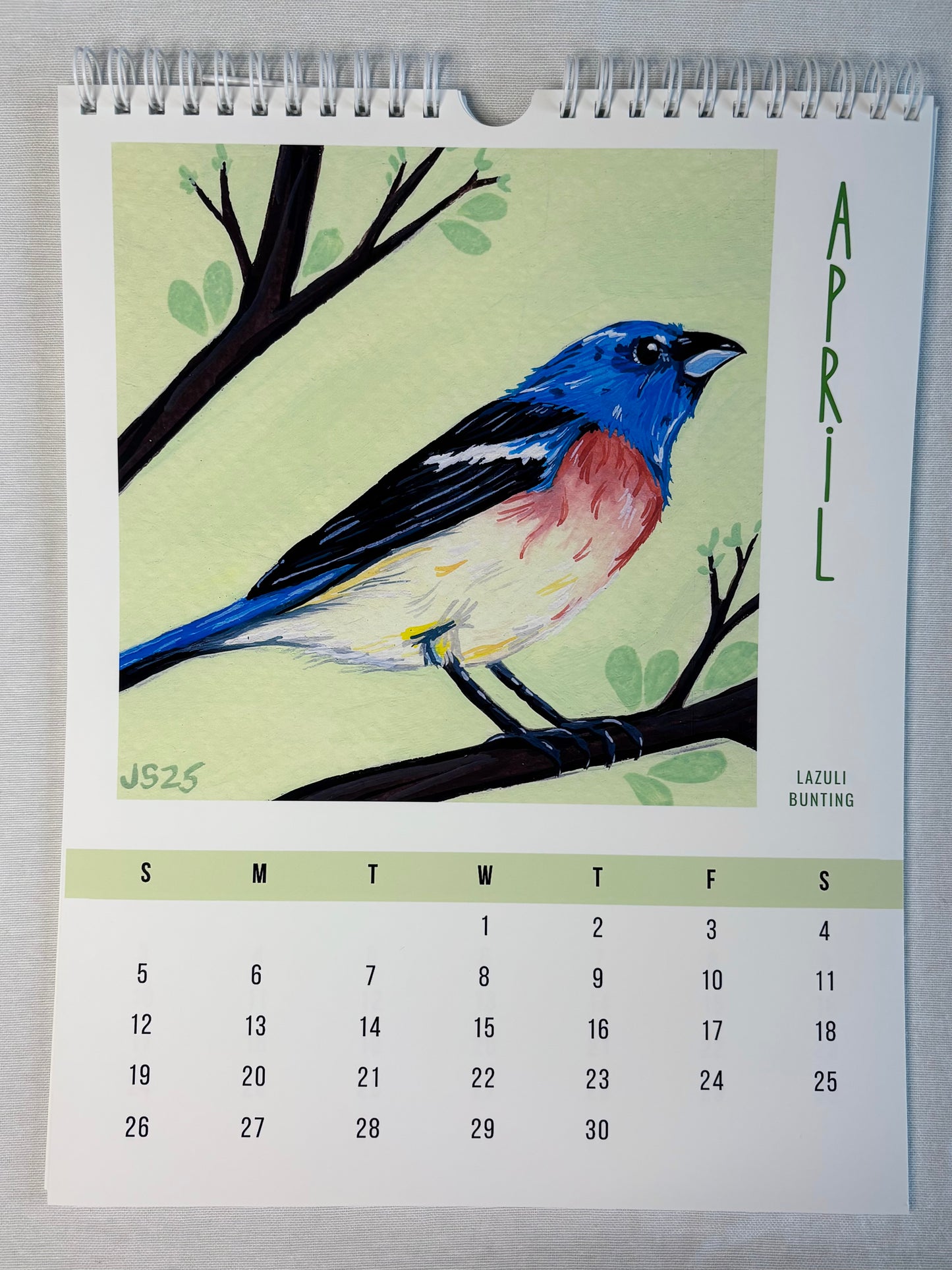 2026 Wall Calendars - Backyard Birds