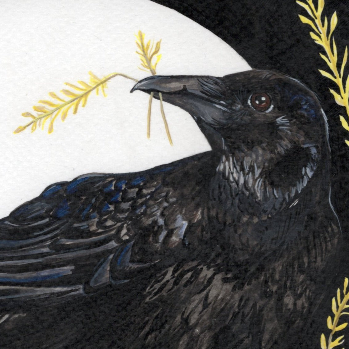 Crow | Original painting