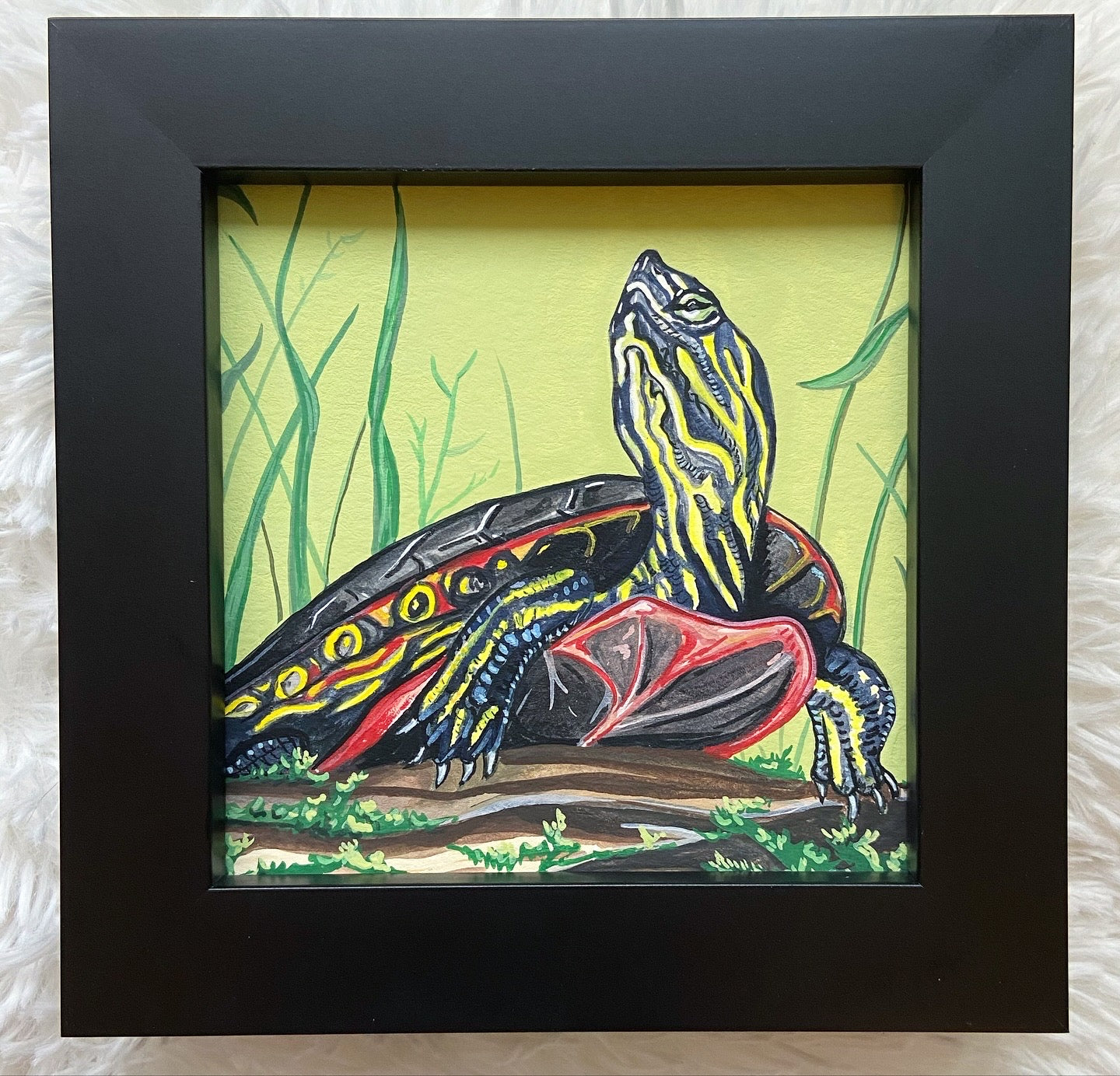 Painted Turtle | Original painting