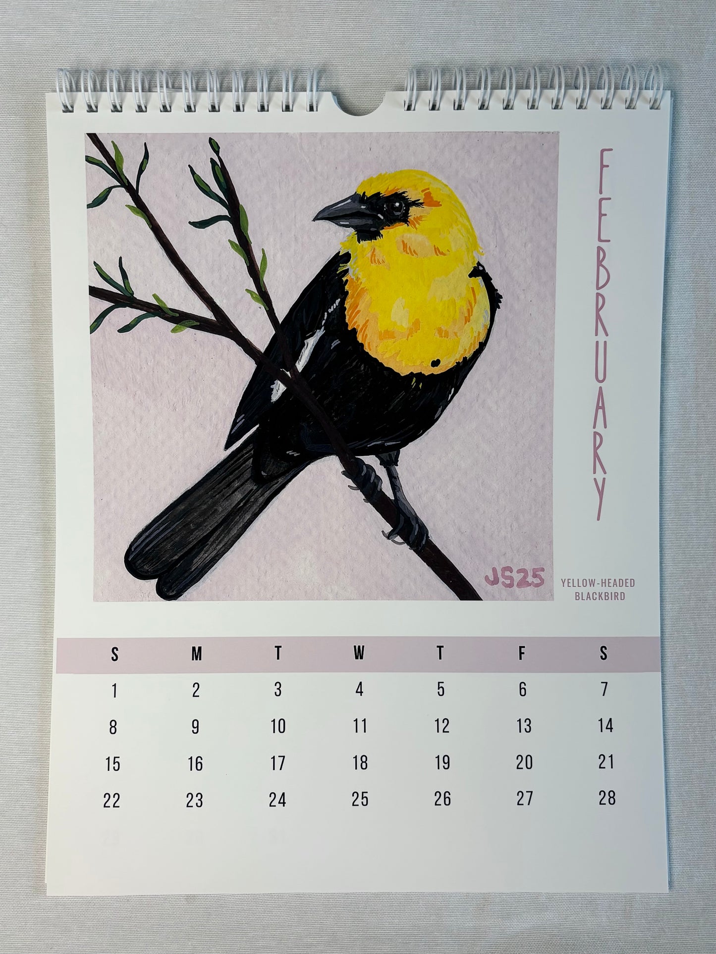 2026 Wall Calendars - Backyard Birds