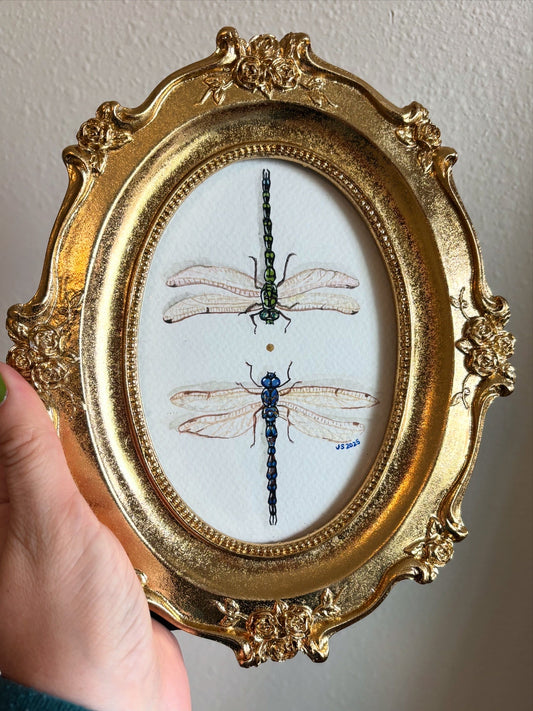 Dragonflies | Original Painting