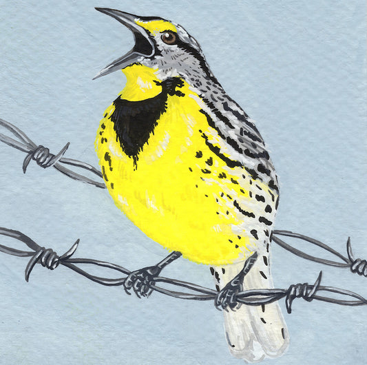 Meadowlark | Original Painting