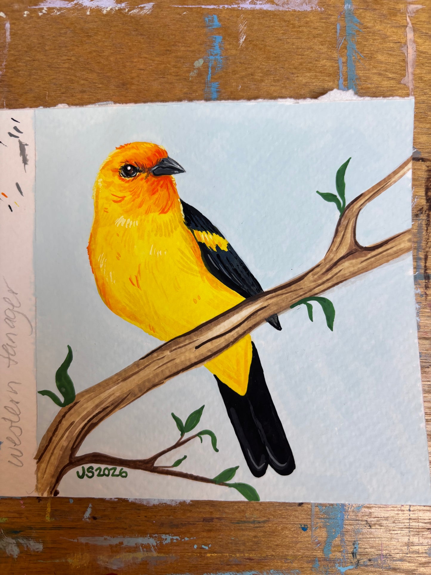 Western Tanager | Original Painting