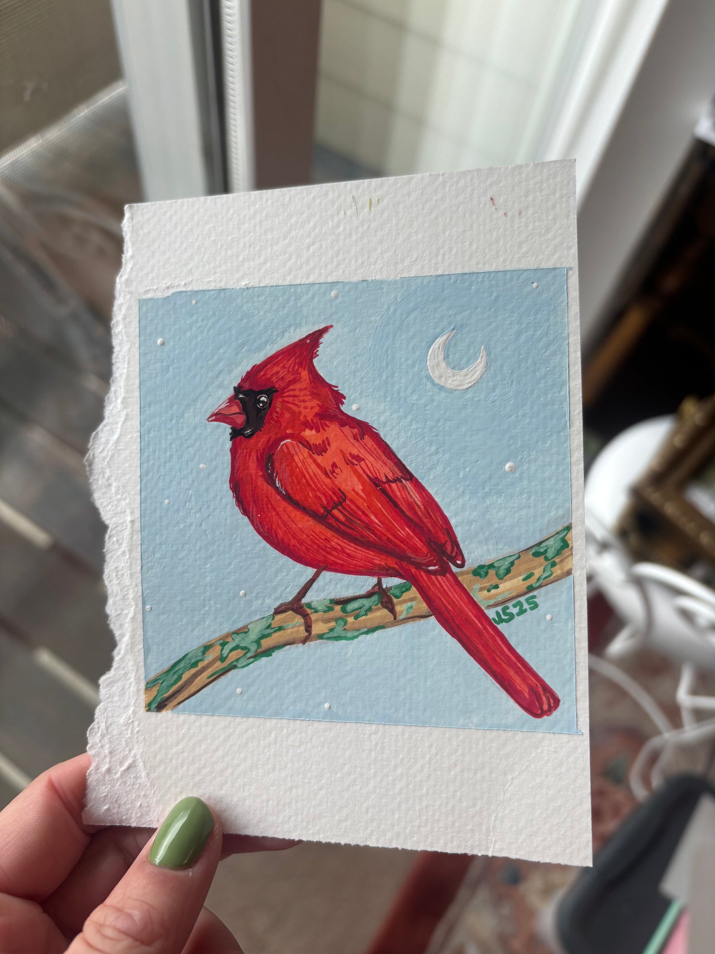 Cardinal | Original Painting