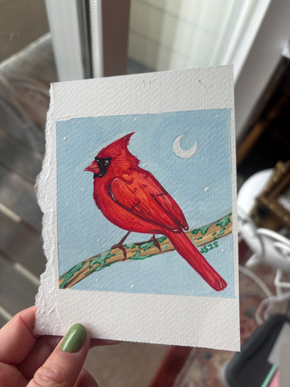 Cardinal | Original Painting