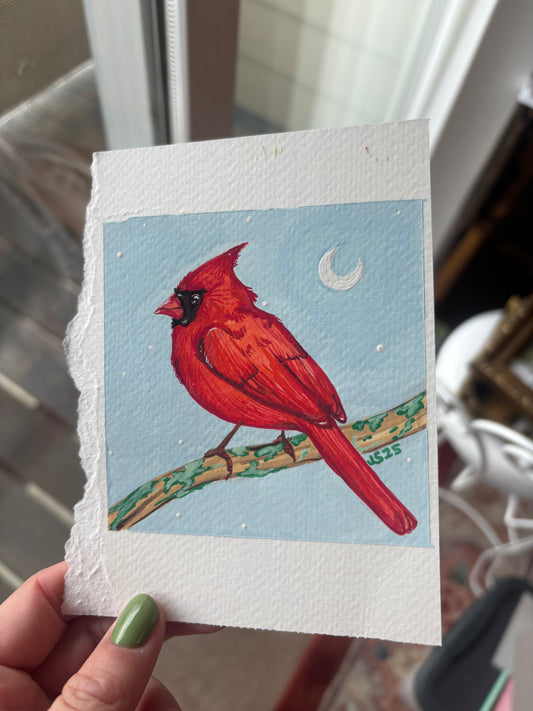 Cardinal | Original Painting