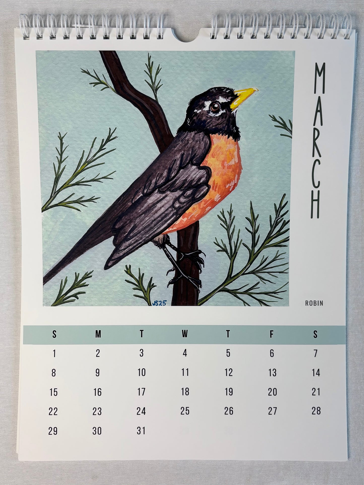 2026 Wall Calendars - Backyard Birds