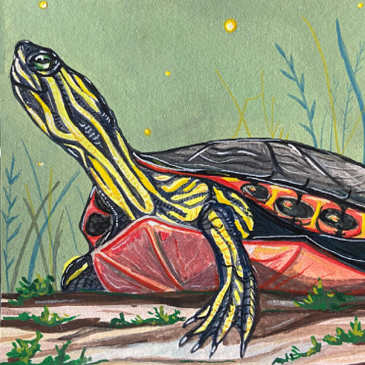 Painted Turtle 3 | Original painting