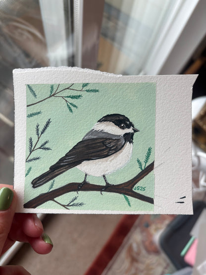 Chickadee II | Original Painting