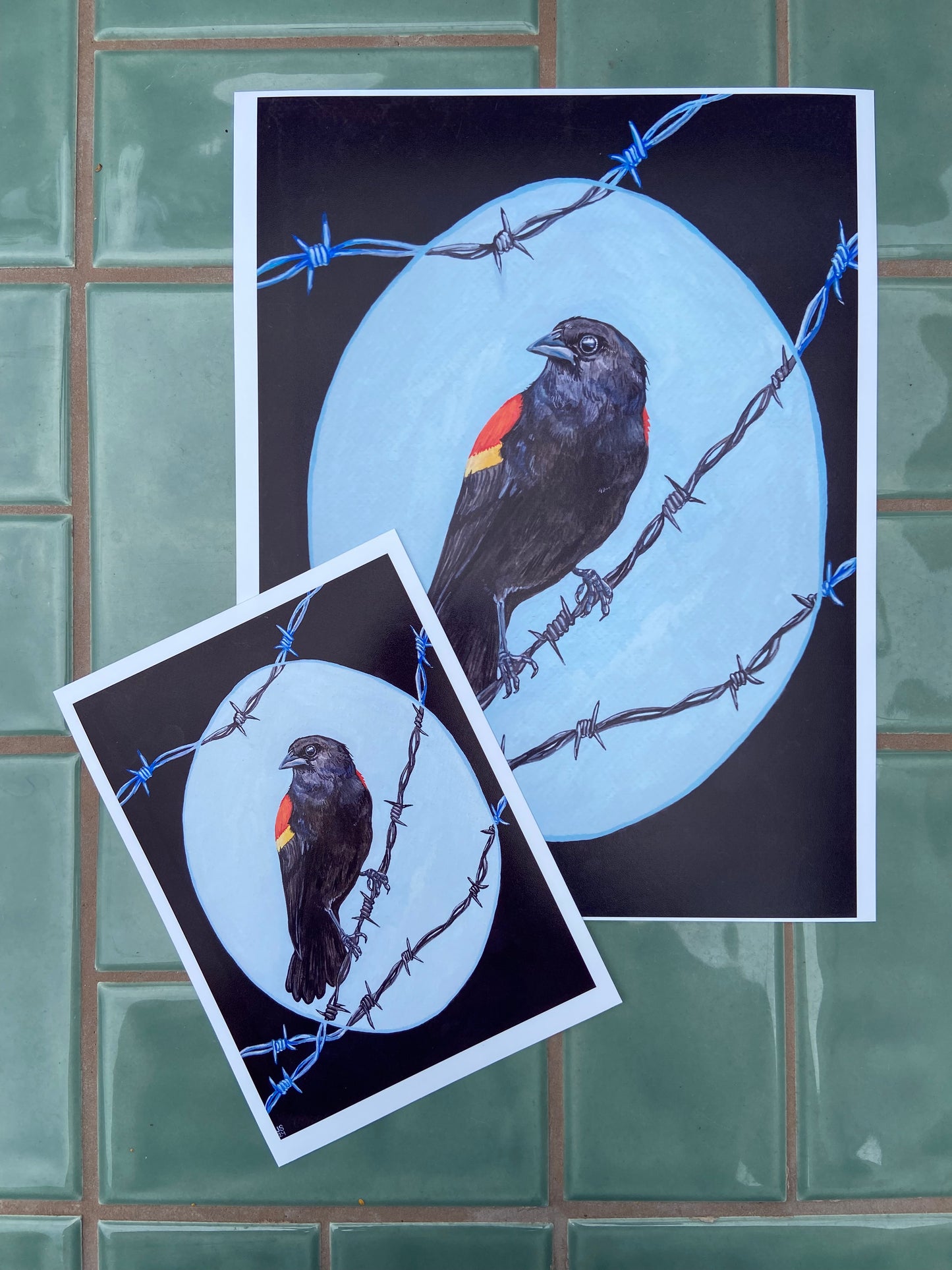 Red-Winged Blackbird | Prints