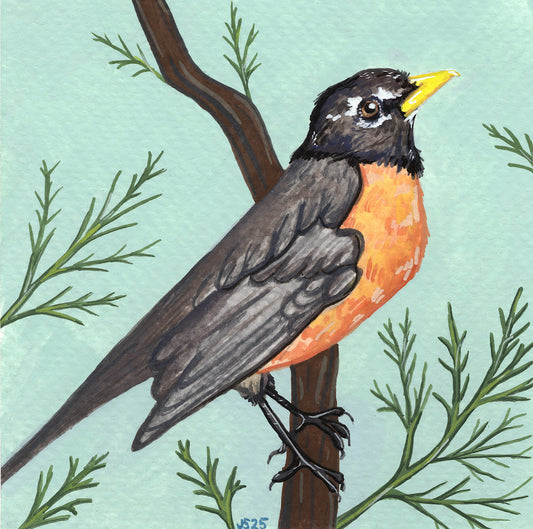 Robin | Original Painting