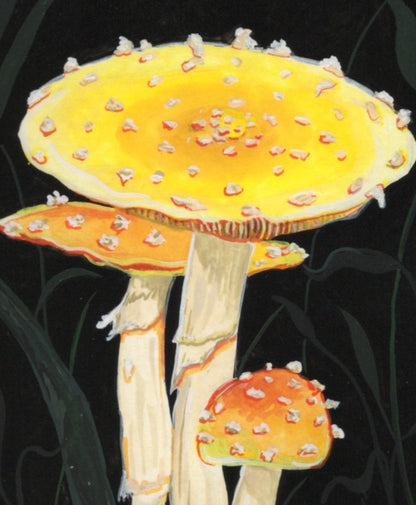 Fly agaric prints