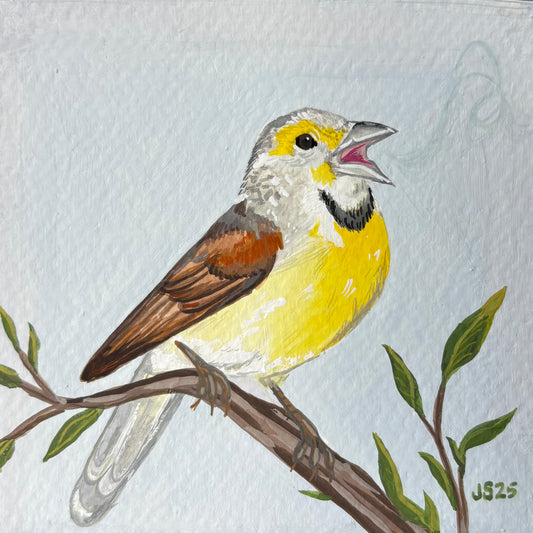 Dickcissel | Original Painting