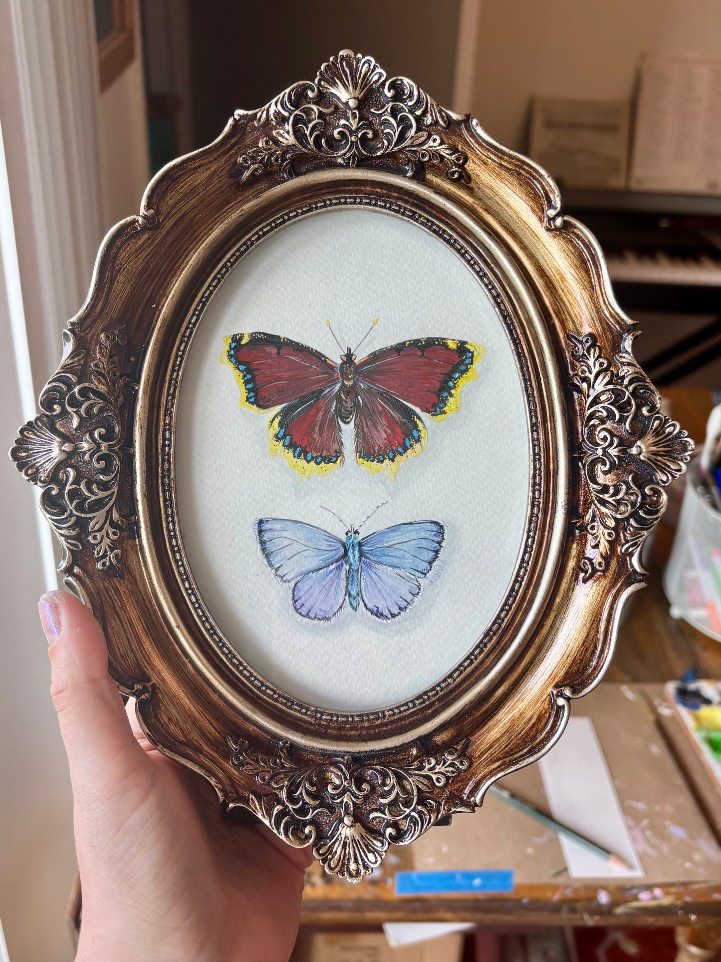Mourning Cloak | Original painting