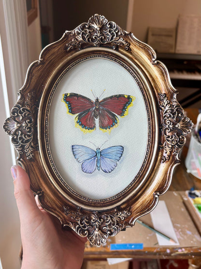Mourning Cloak | Original painting