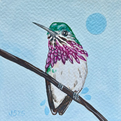 Calliope Hummingbird | Original Painting