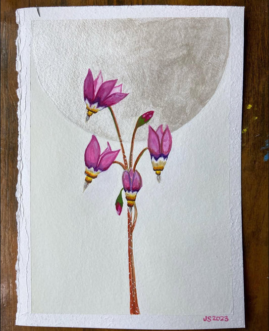 Shooting Star | Original Painting