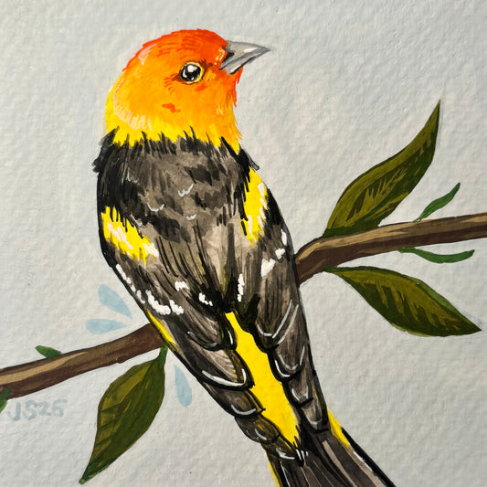 Western Tanager | Original Painting