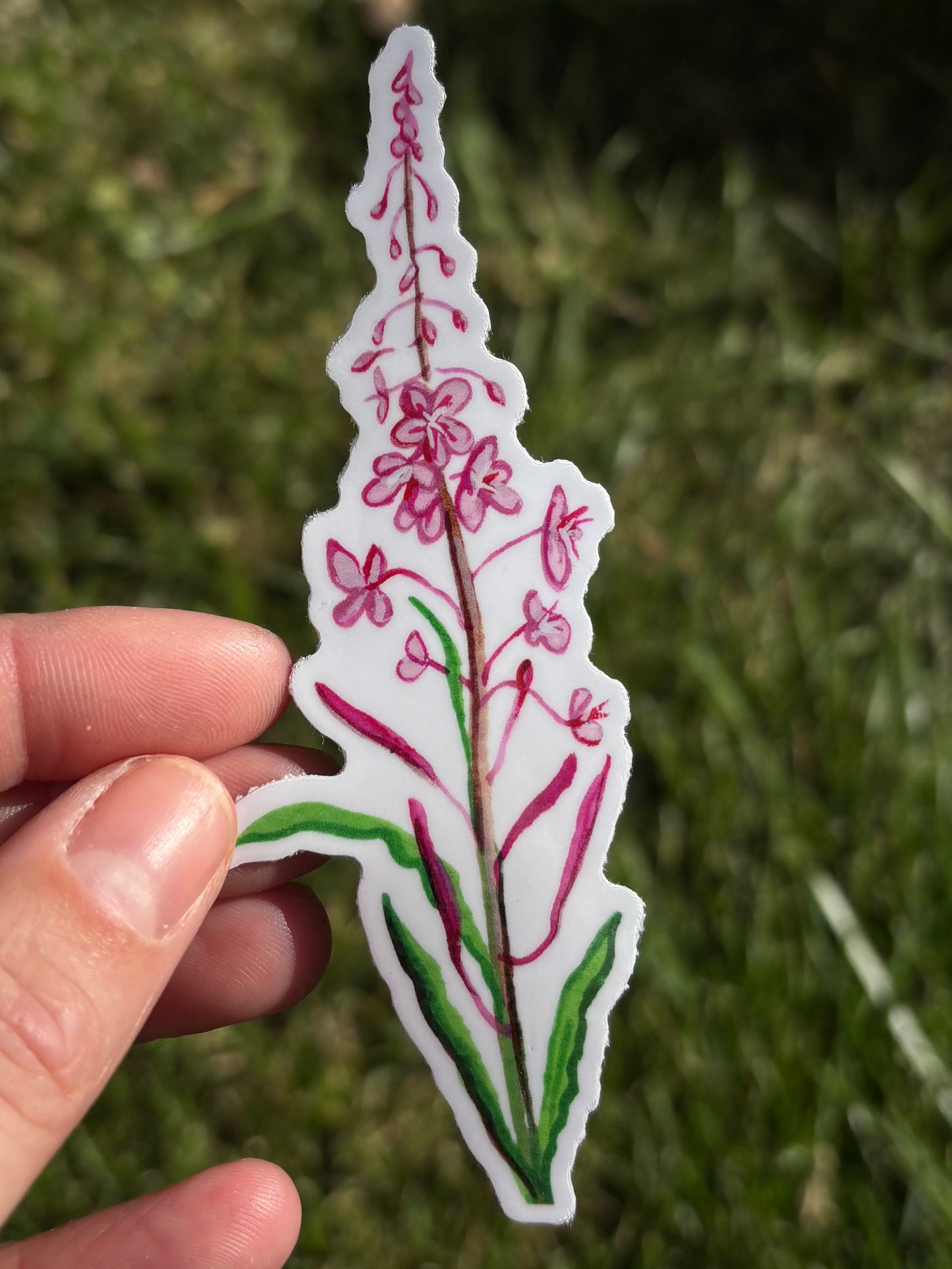 Fireweed Sticker