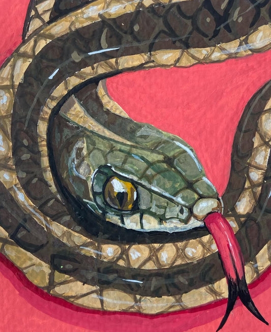 Garter Snake | Original Painting