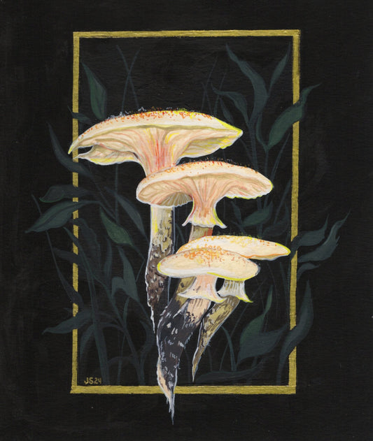 Honey Mushroom | Original painting