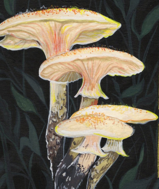Honey Mushroom | Original painting
