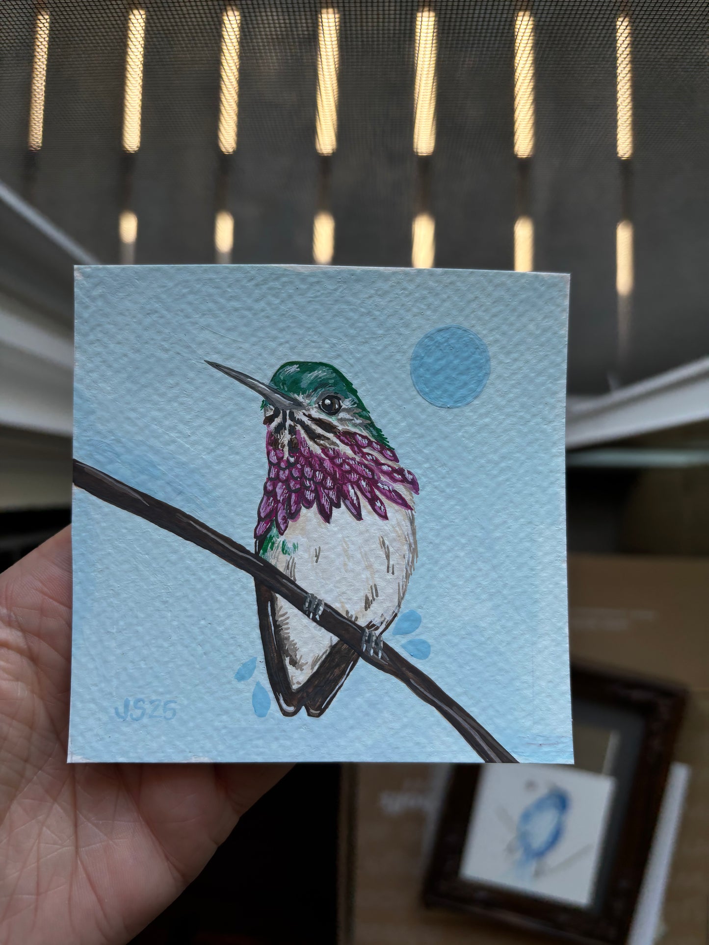 Calliope Hummingbird | Original Painting