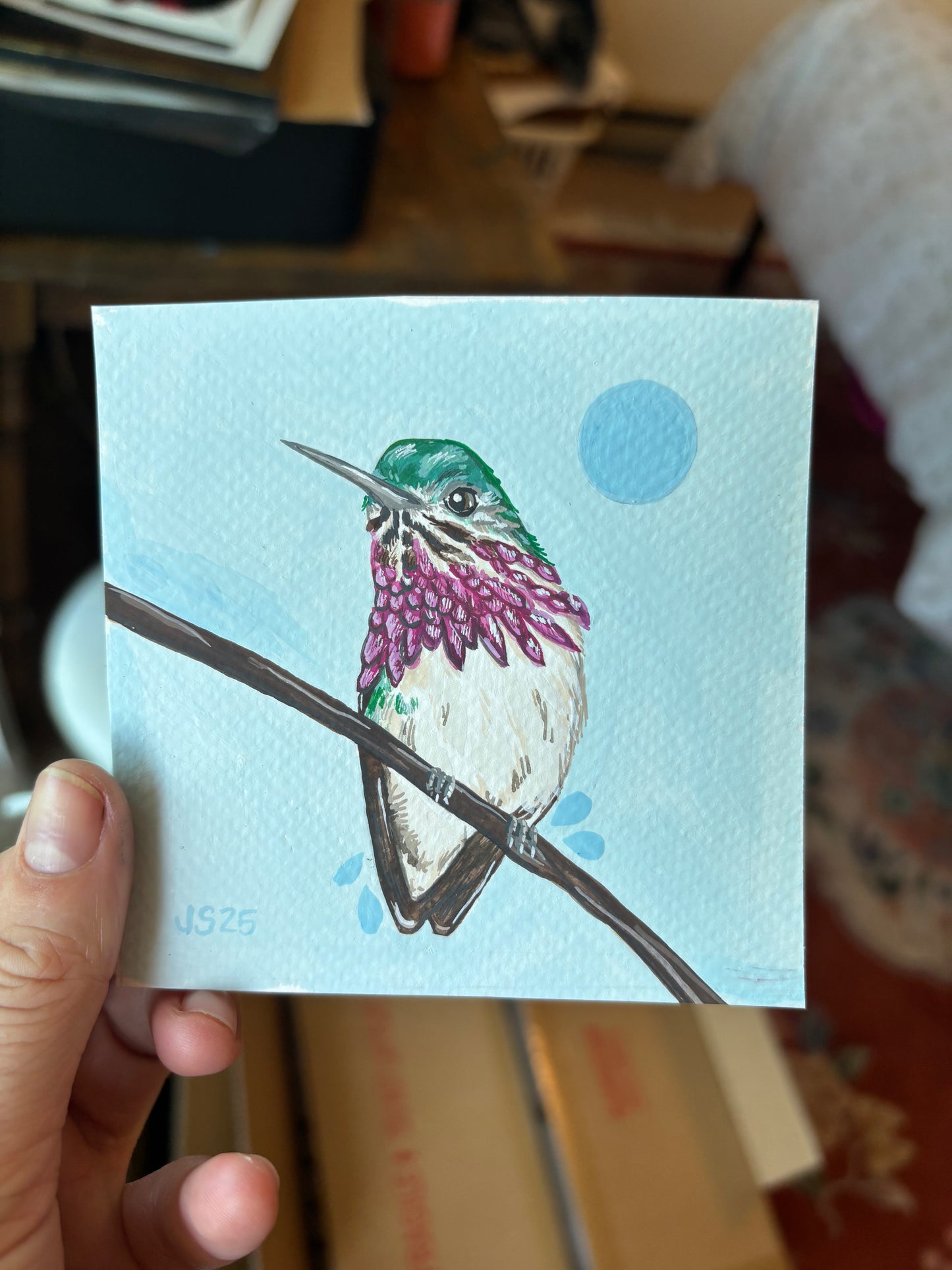 Calliope Hummingbird | Original Painting