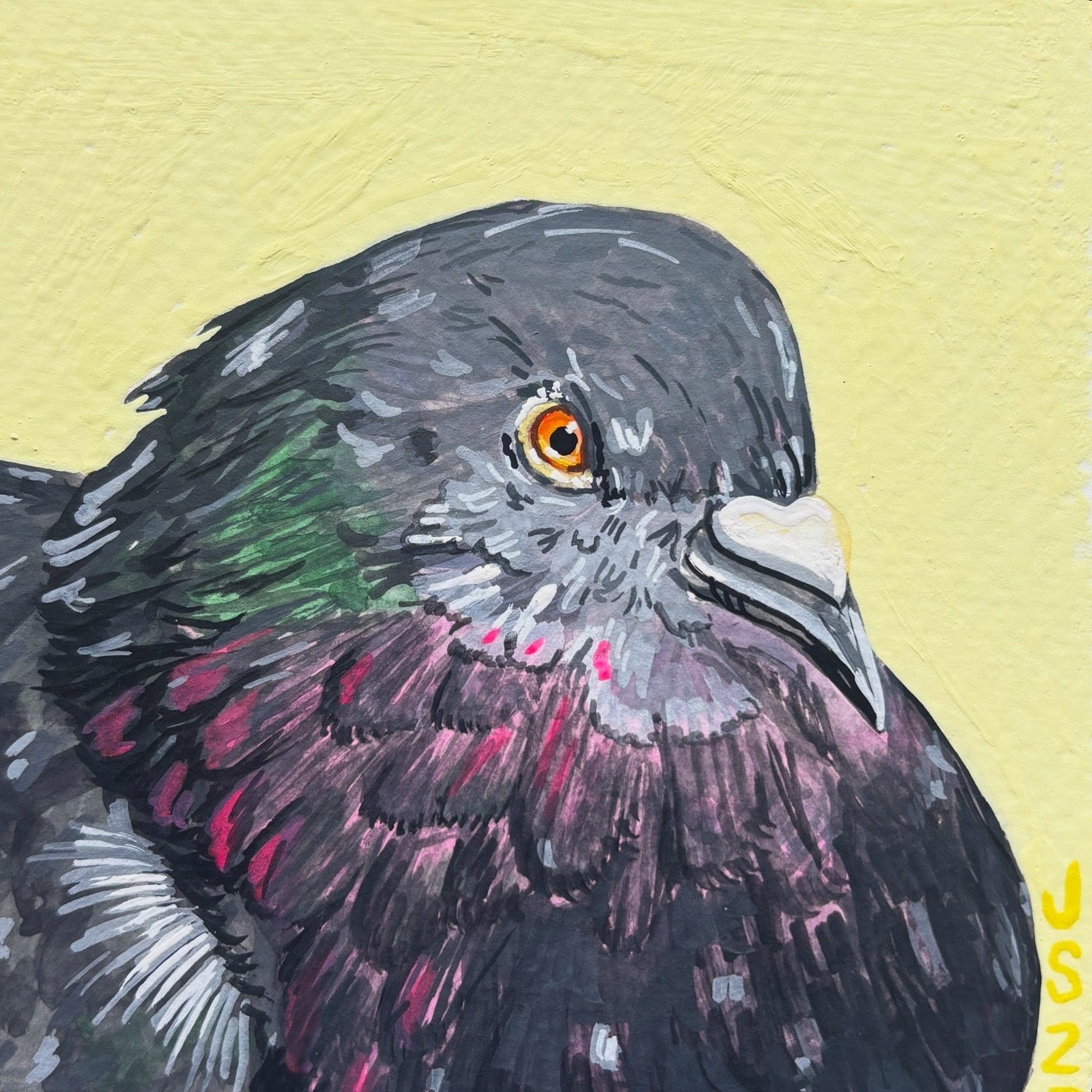 Pigeon | Original Painting