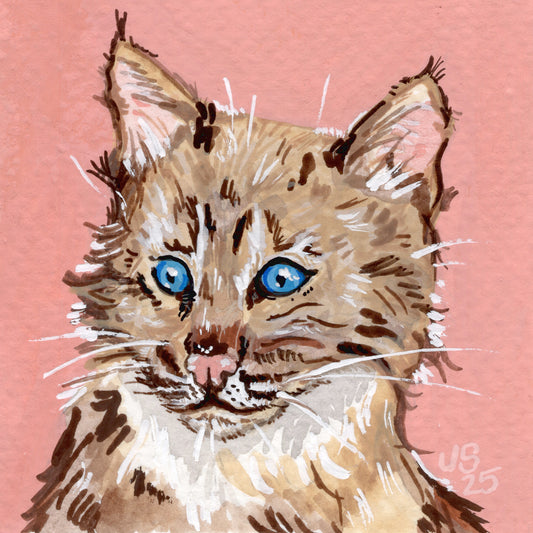 Bobkitty | Original Painting