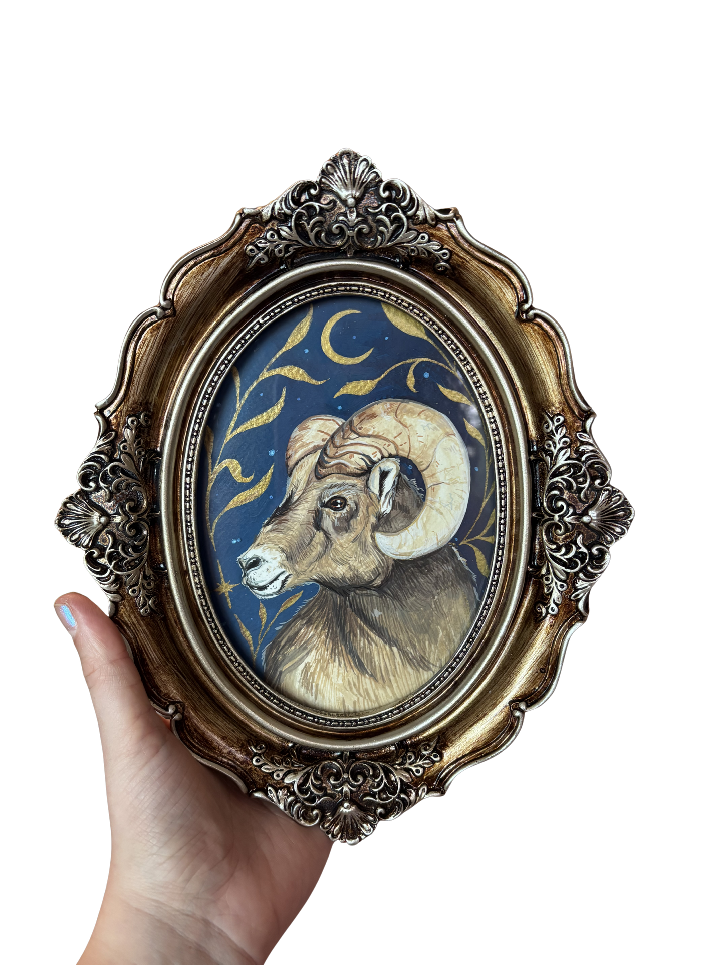Bighorn Sheep | Original painting