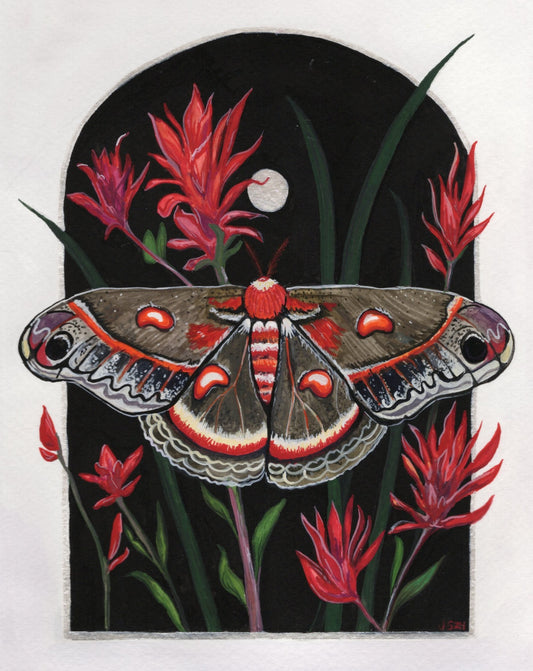 Crecopia Moth prints