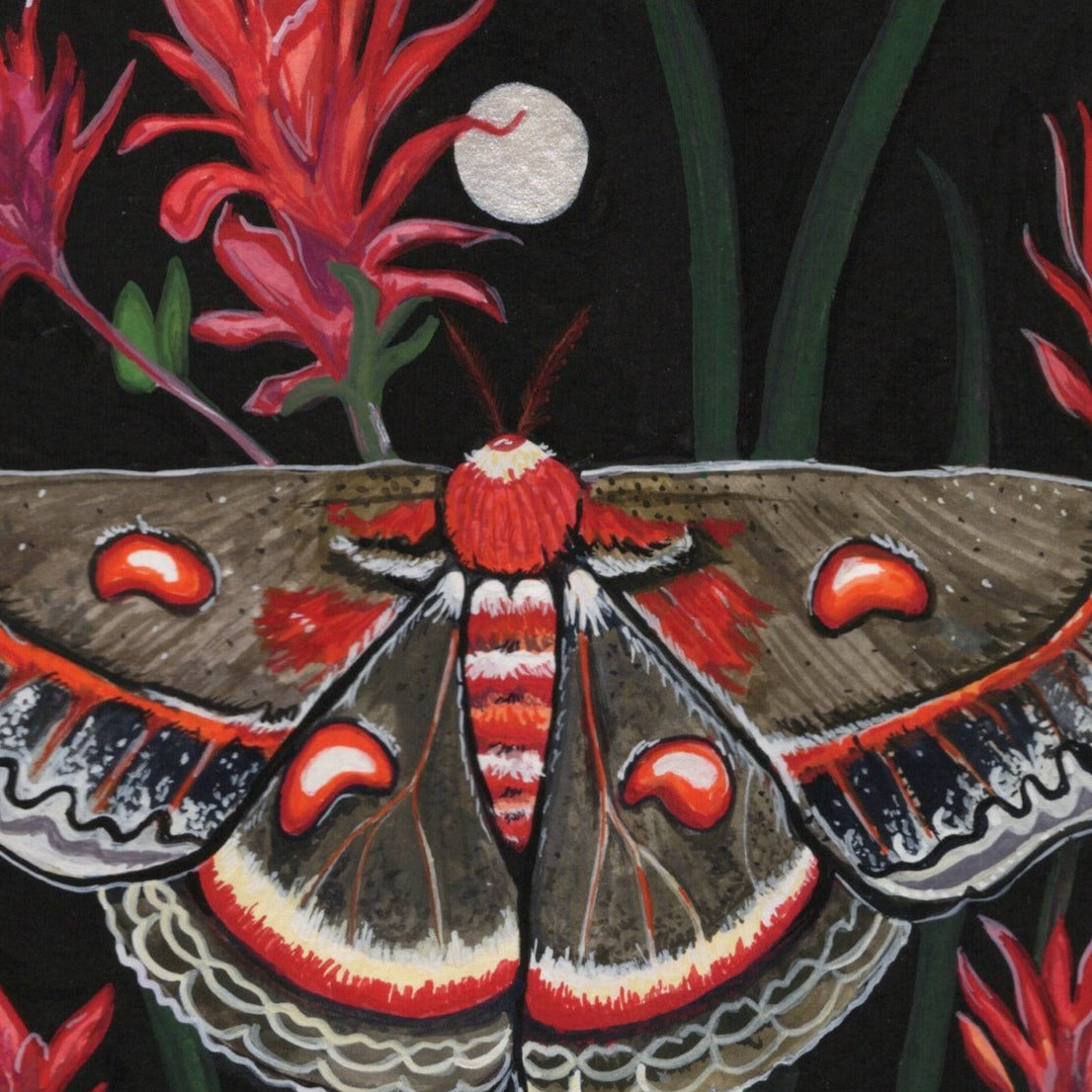 Crecopia Moth prints