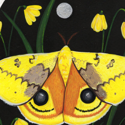 Io Moth prints