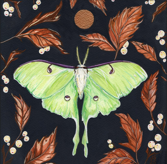 Luna Moth | Original Painting