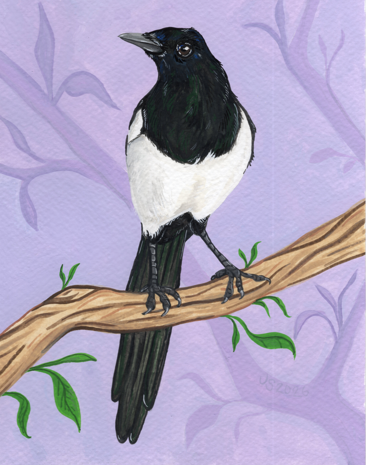 Purple Magpie | Original Painting