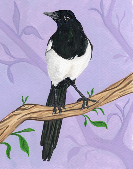 Purple Magpie | Original Painting