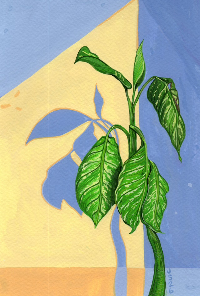 Dumb Cane | Original Painting