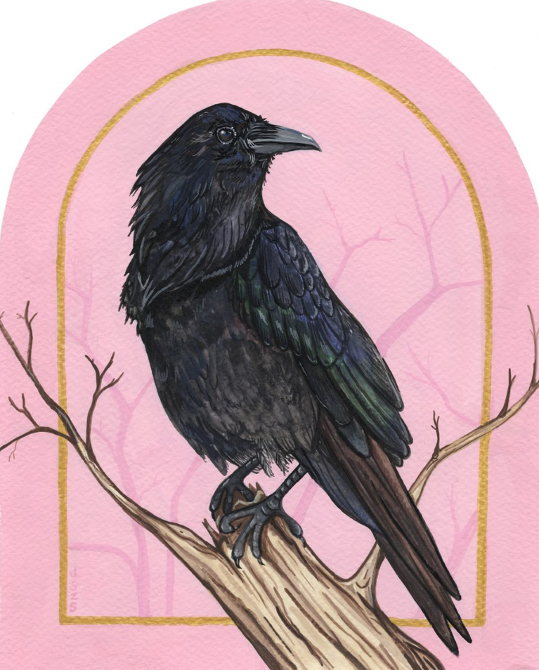 Crow in Pink | Original painting