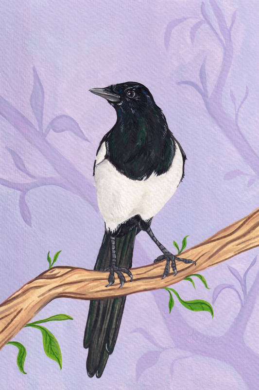 Purple Magpie | Original Painting