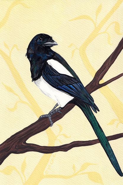 Yellow Magpie | Original Painting