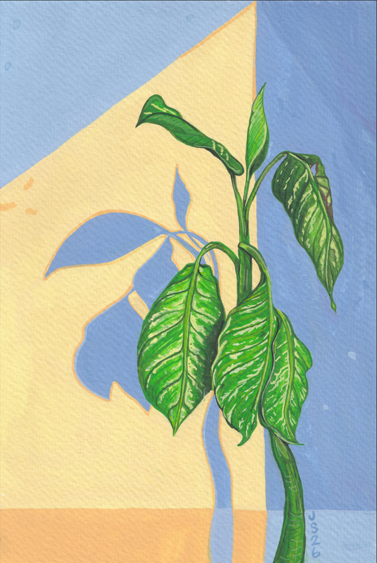 Dumb Cane | Original Painting