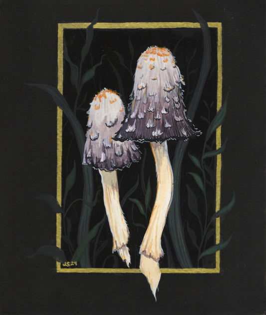 Shaggy Mane | Original painting