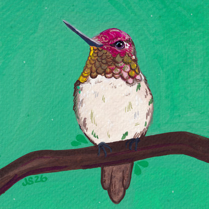 Anna’s Hummingbird | Original Painting